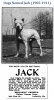 Dogs Named Jack 1911_01.jpg