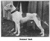 Dogs Named Jack 1911_11.jpg