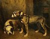 1837 Bulldog and Scottish Terrier 1837 Alexandre-Gabriel Decamps .jpg